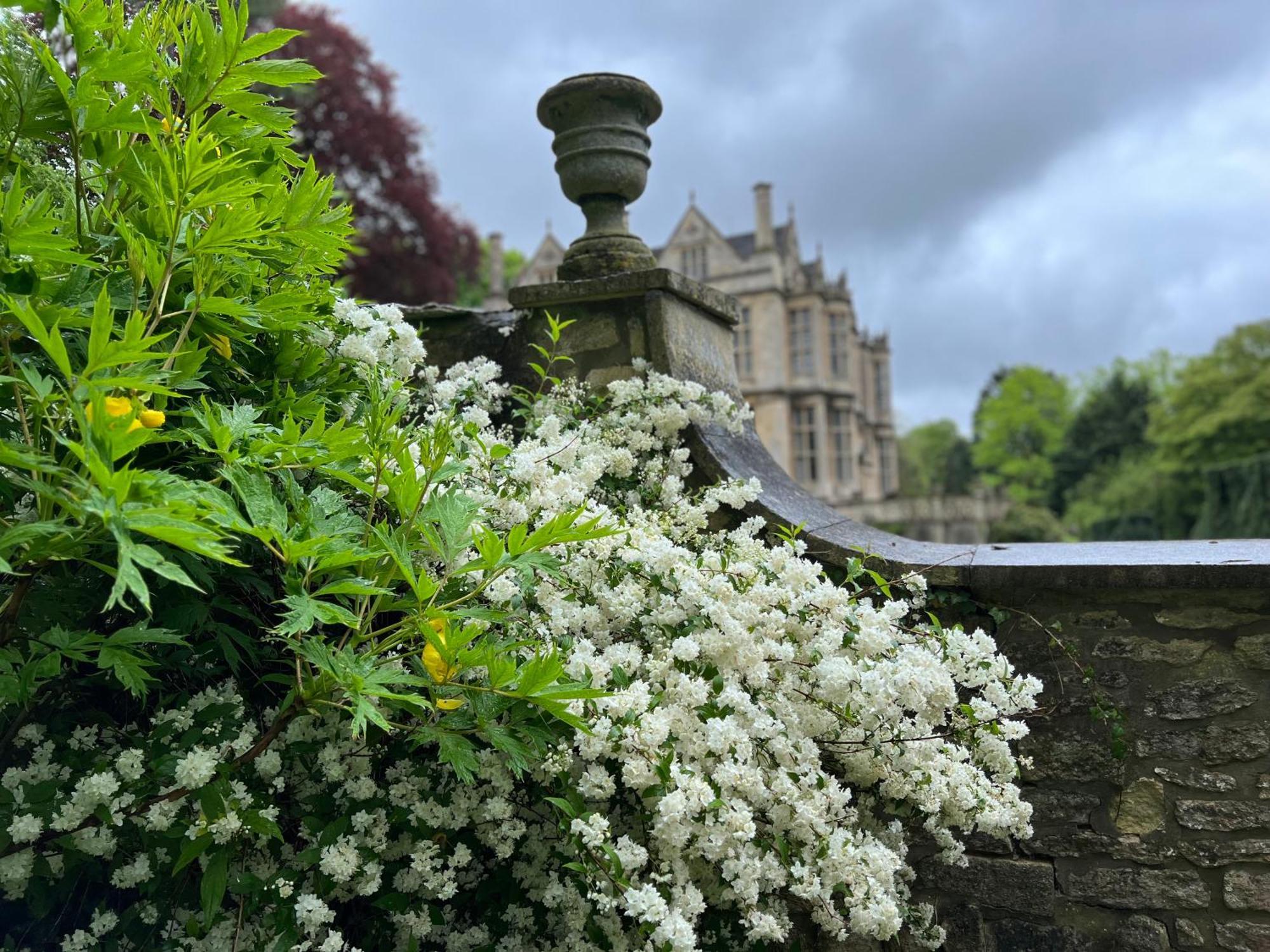 The Hall - Historic Grade I-Listed Jacobean Mansion Bradford-On-Avon Eksteriør billede